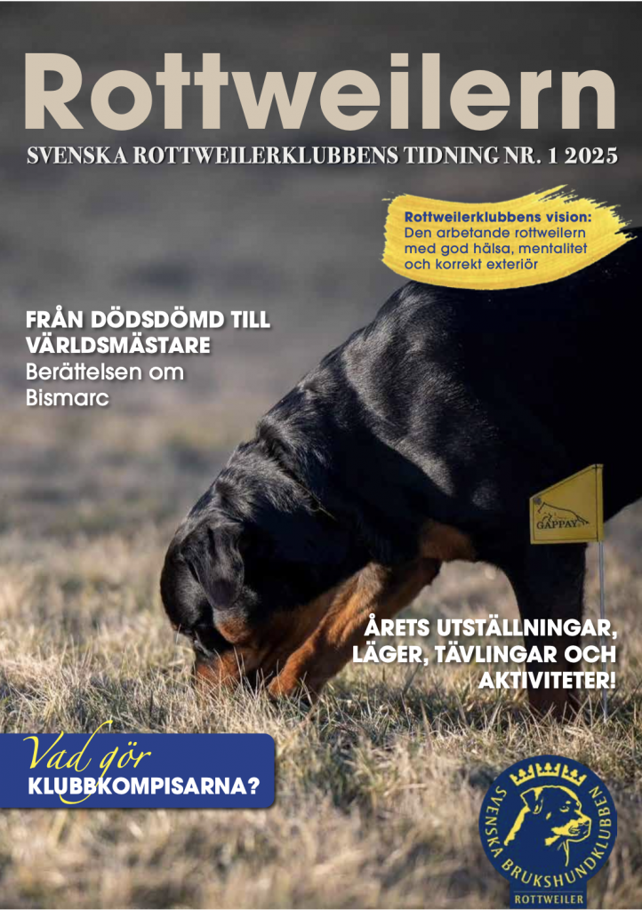 Rottweilern 1 2025